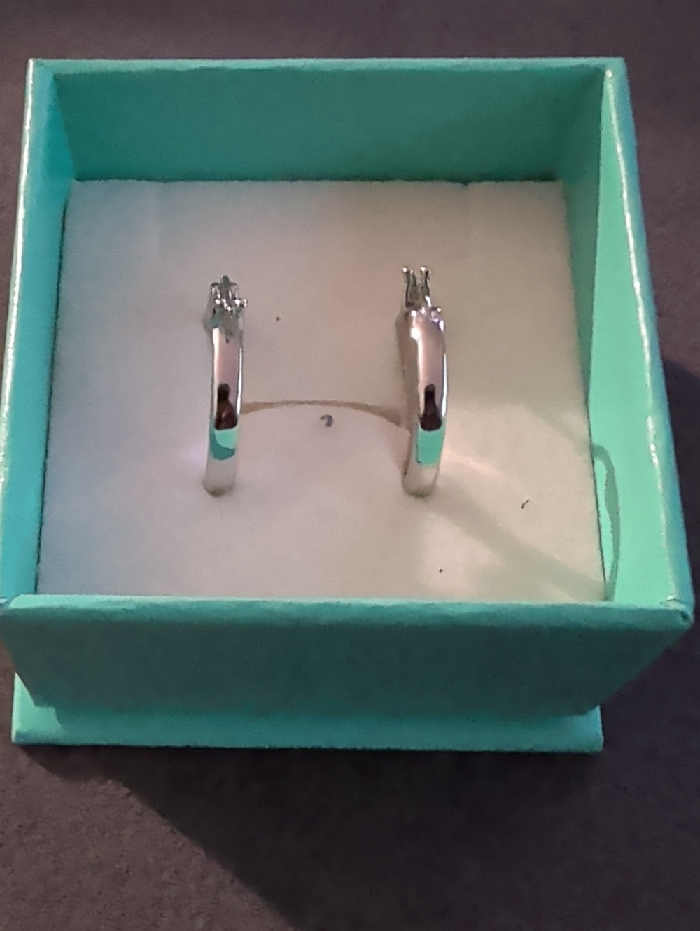 Sterling Silver Hoop Earrings in Silver